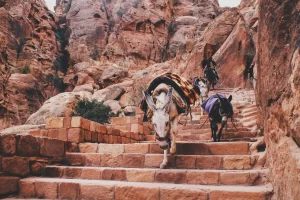 Jordan Trip Advisor