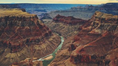 Grand Canyon Trip Advisor