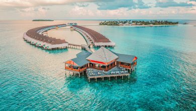 Maldives Trip Advisor