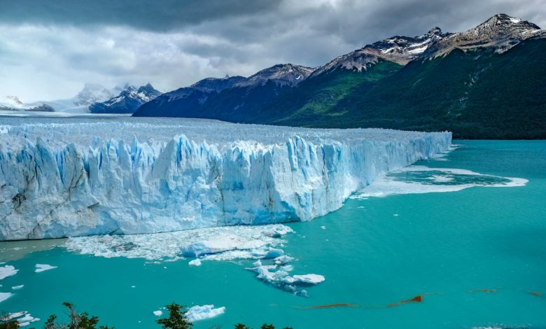 Patagonia Trip Advisor
