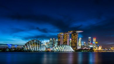 Singapore Trip Advisor