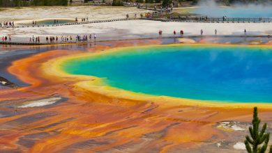 Yellowstone National Park Trip Advisor