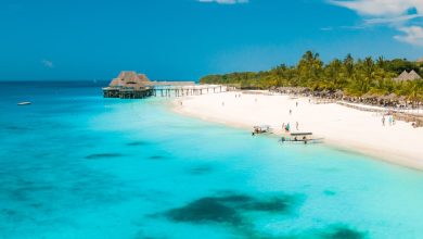 Zanzibar Trip Advisor