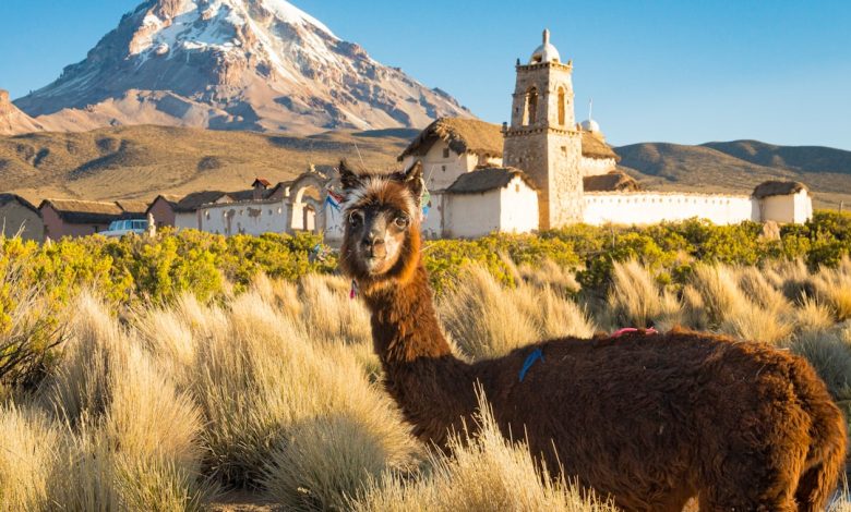Bolivia Trip Advisor