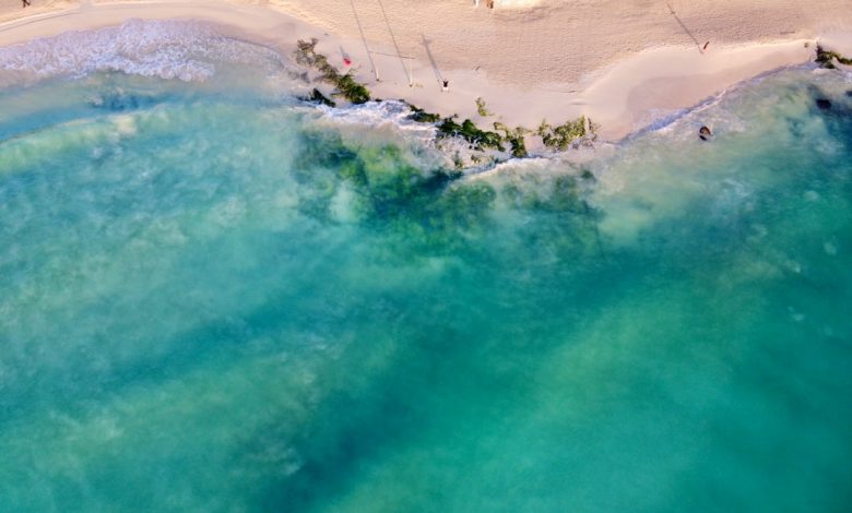 Playa del Carmen Trip Advisor