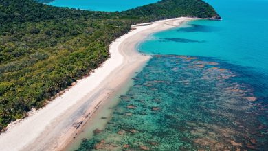 Great Barrier Reef Trip Advisor