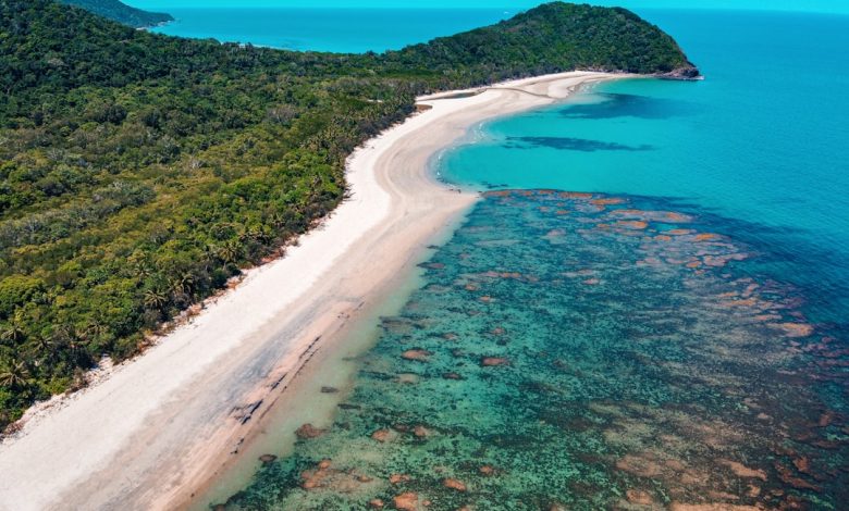 Great Barrier Reef Trip Advisor