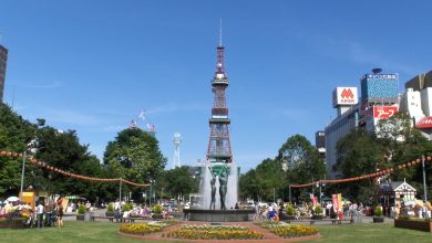 Odori Park and Sapporo city centre in Japan