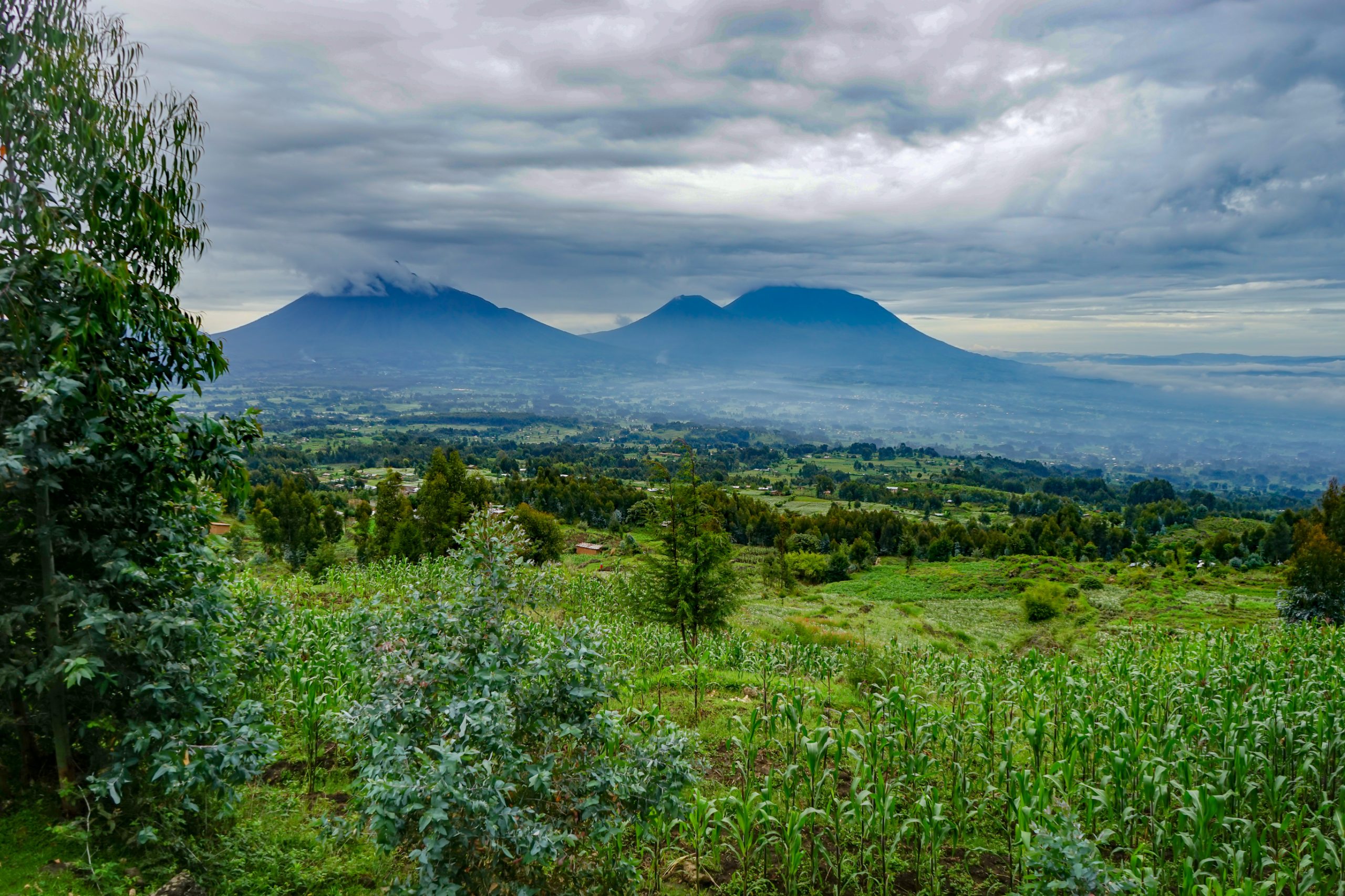 Volcanoes National Park landscape and mountains in Rwanda