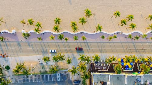 Miami Travel Guide