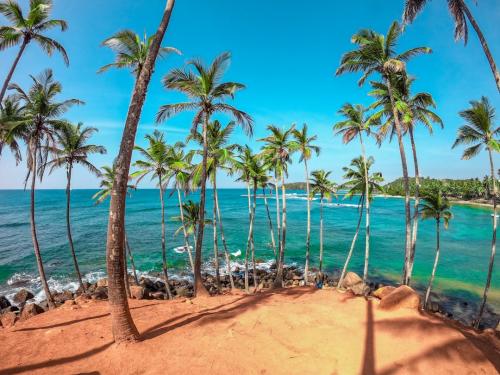 Sri Lanka Travel Guide